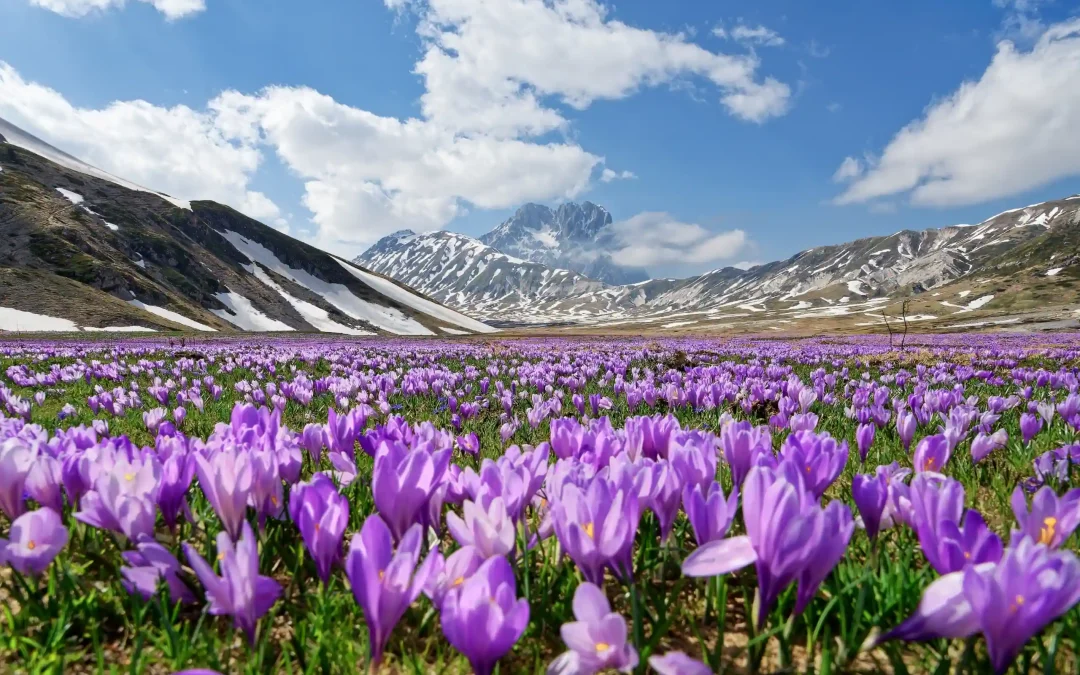 L’altipiano di Campo Imperatore