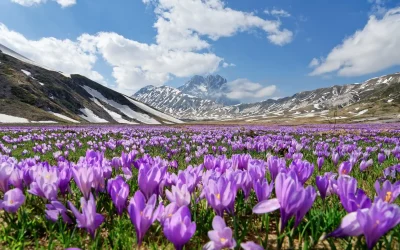 L’altipiano di Campo Imperatore