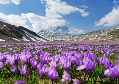 Cammino del Gran Sasso - Prima tappa da Campo Imperatore a Castel del Monte (1)