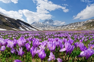 Il blog del Cammino del Gran Sasso